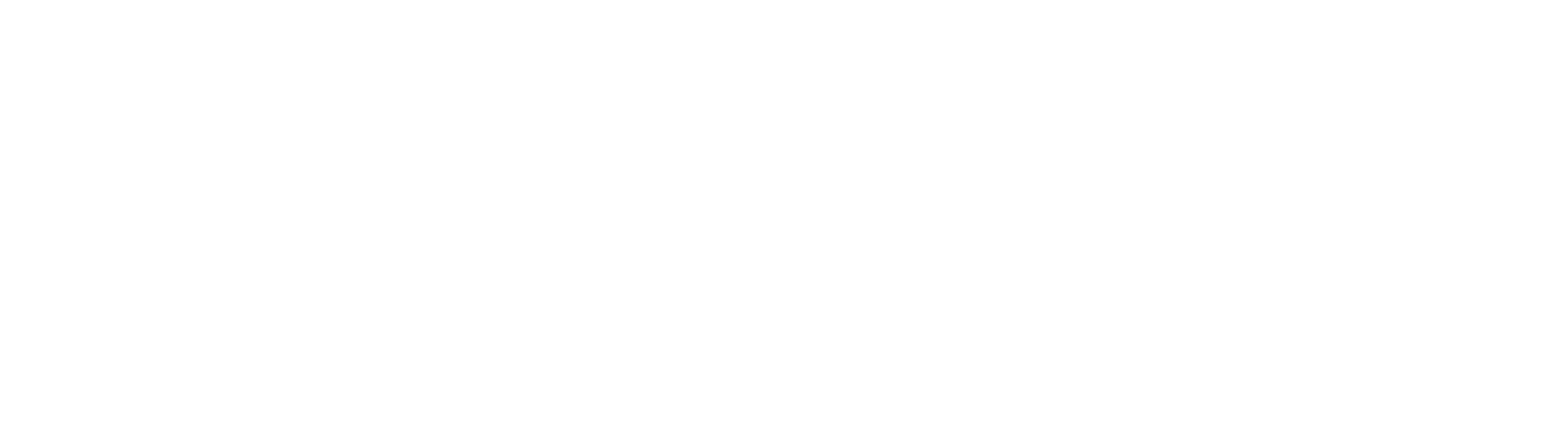 DYNA Architecture